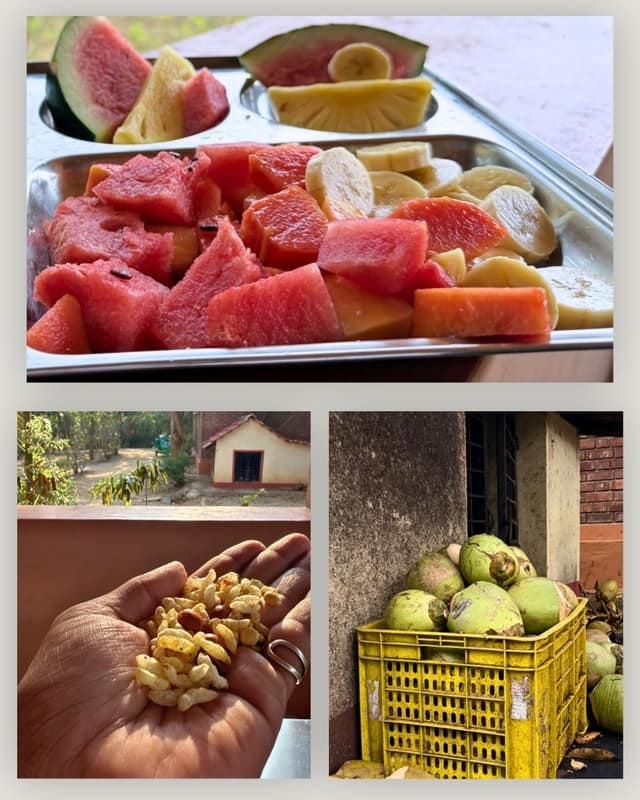 Cut fruit in serving trays and fresh coconuts in a crate — meals are prepared on site.
