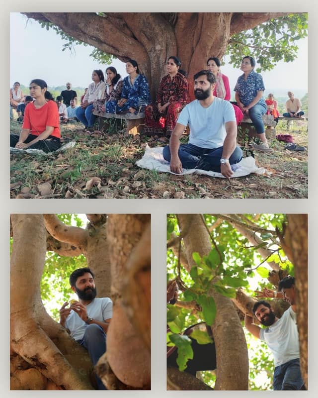 A group sitting on mats and benches in the shade of a large tree during a session.