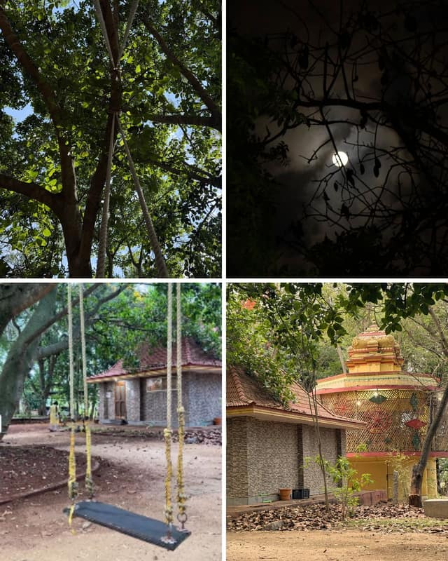 A rope swing hanging from a tall tree, a stone-walled hut, and the grounds at dusk.